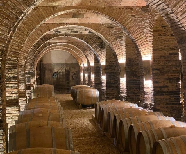Cave voutée 2