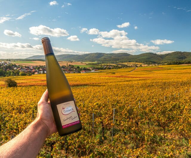 Cleebourg, Vin ©OTi de l’Alsace Verte – Audrey Hamm