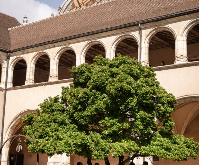 Cloitre_du_Monastere_royal_de_Brou–Morgane_Monneret_-MRB-6028-1200px