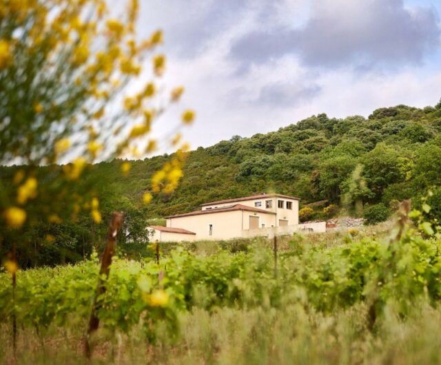 Domaine Joly