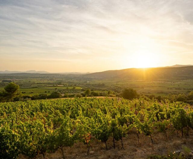 Domaine des conquetes