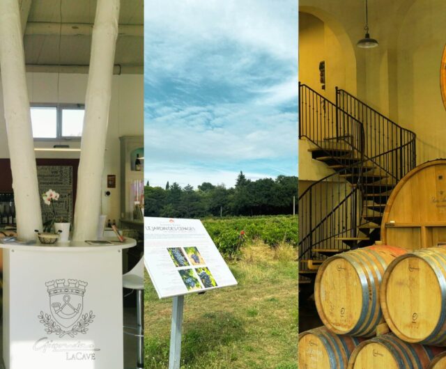 EBOUTIQUE – Vignobles en scène