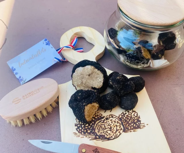 Maison de la Truffe d’Occitanie – Crédits Maison de la Truffe