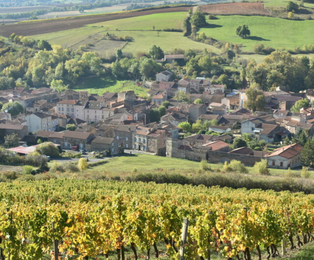 Randonnée Vino Vélo Boudes