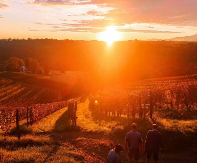 Soirée Jurançonada – clos lapeyre – Jurançon (2)