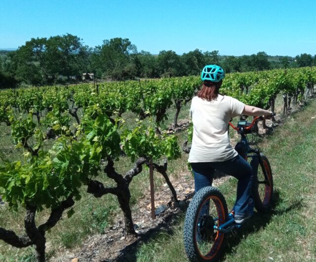 TROTT VIGNE 1080×1080