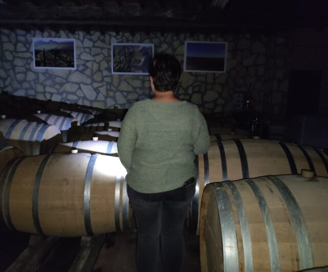 VISITE A LA TORCHE