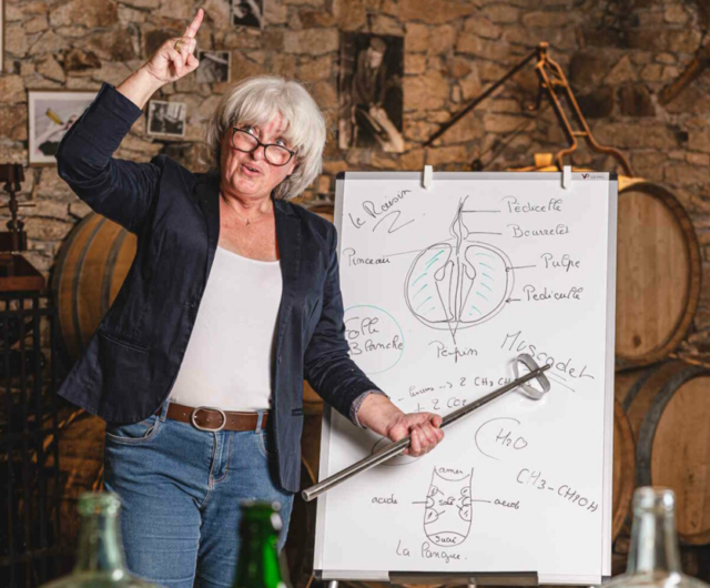 VeS Forgeau Muscadet