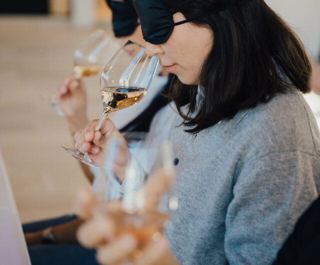 vignobles-en-scene-degustation-a-l-aveugle-au-domaine-tropez_7997259_1