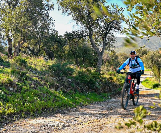 vtt domaine tambour